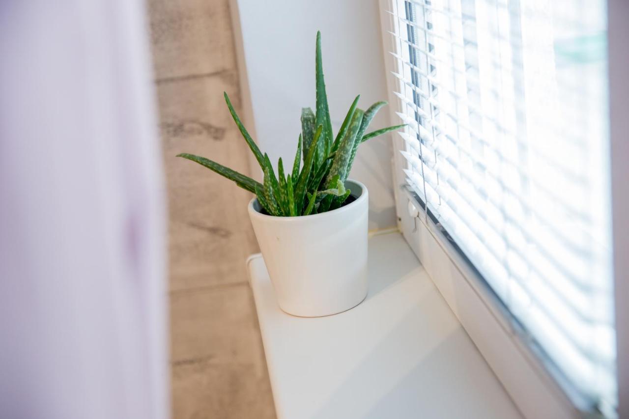 Apartment Studio Milena Subotica Eksteriør bilde